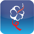 IAS 2013