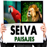 Paisajes Selva