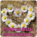 Palabras lindas para enamorar con imagenes APK