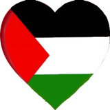 دردشة غلاتي فلسطين icône