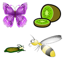 French and English Animals Bugs Fruits Vegetables APK