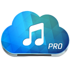 Paradise Pro+Mp3 Downloader-icoon