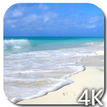 Paradise Video Live Wallpaper