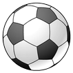 RSS Soccer Japan