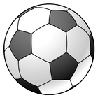 RSS Soccer Japan biểu tượng