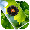Leaf Clock Live Wallpaper icon
