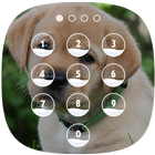 Cute Dog Lock Screen biểu tượng