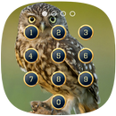 APK Owl Lock Screen