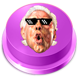 Ric Flair Button