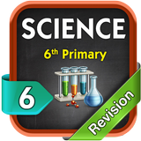 ikon Science Revision Sixth Primary T1