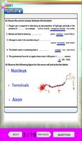 Science Revision Sixth Primary T1 截圖 2