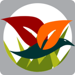 Amazonía - Guía Ilustrada