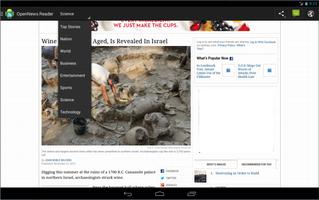 OpenNews Reader ภาพหน้าจอ 2