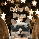 Cats and Dogs APK