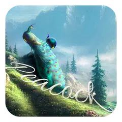 Peacock APK download