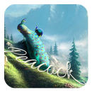 Peacock APK