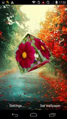 Photo Cube Live Wallpaper APK download
