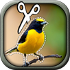 Cut Paste Photo Editor APK