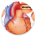 Pencegahan Dan Pengobatan Penyakit Jantung Koroner ícone