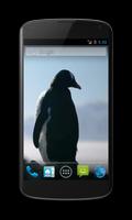 برنامه‌نما Penguins Free Video Wallpaper عکس از صفحه