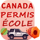 Permis De Conduire icono