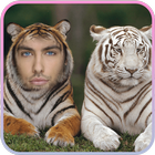 Tiger Photo Frames ไอคอน