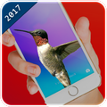 Hummingbird In Phone
