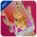 ”Kangaroo In Phone