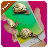 Snail In Phone