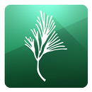 Pine Crest Interactive Maps APK