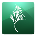 Pine Crest Interactive Maps icône