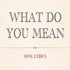 ikon What Do You Mean