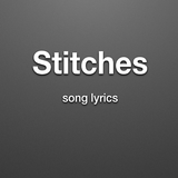 Stitches Lyrics icône