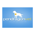 Pendragon Mobile 圖標