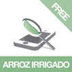 Diagnoses - Arroz Irr. - Free