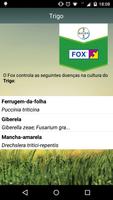 FOX - Bayer syot layar 2