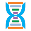 Phylo DNA Puzzle