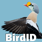 BirdID - European bird guide a-icoon