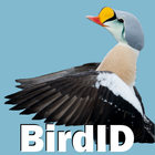 BirdID - European bird guide a 圖標
