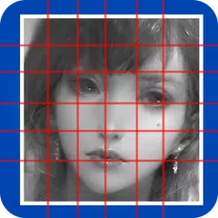 Grid Draw Lite