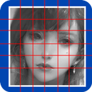 Grid Draw Lite APK