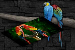 Macaw Live Wallpaper 스크린샷 1