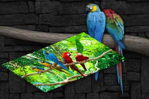 Macaw Live Wallpaper 스크린샷 3