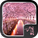 Sakura Live Wallpaper aplikacja