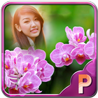 Orchid Photo Frames 图标
