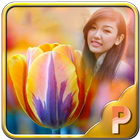 Colourful Tulips Photo Frames icon