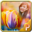 Colourful Tulips Photo Frames