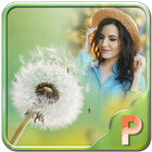 Dandelion Photo Frames icon