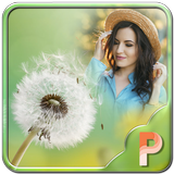 Dandelion Photo Frames icon