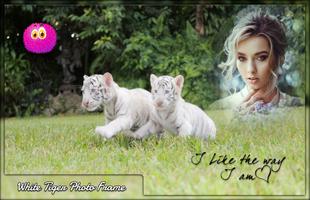 White Tiger Photo Frames Affiche